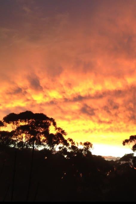 Avoca Beach And Bush Bagian luar foto