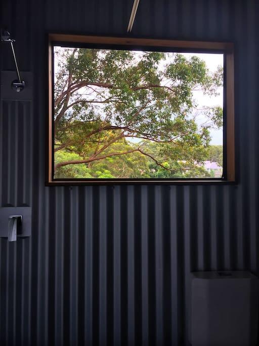 Avoca Beach And Bush Bagian luar foto