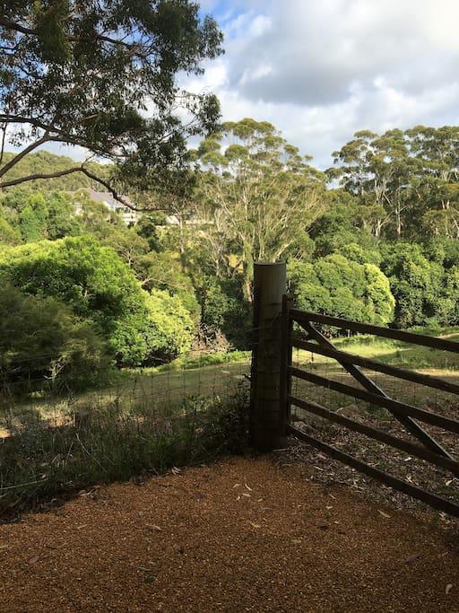Avoca Beach And Bush Bagian luar foto