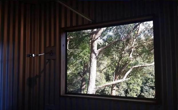 Avoca Beach And Bush Bagian luar foto